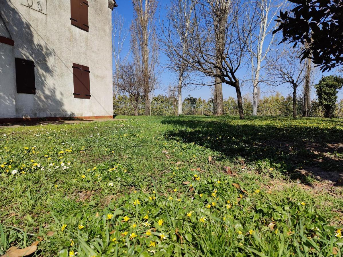 Ca Degli Aironi Villa Cittanova  Buitenkant foto