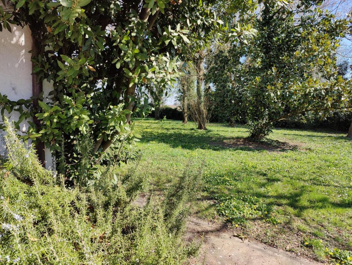 Ca Degli Aironi Villa Cittanova  Buitenkant foto